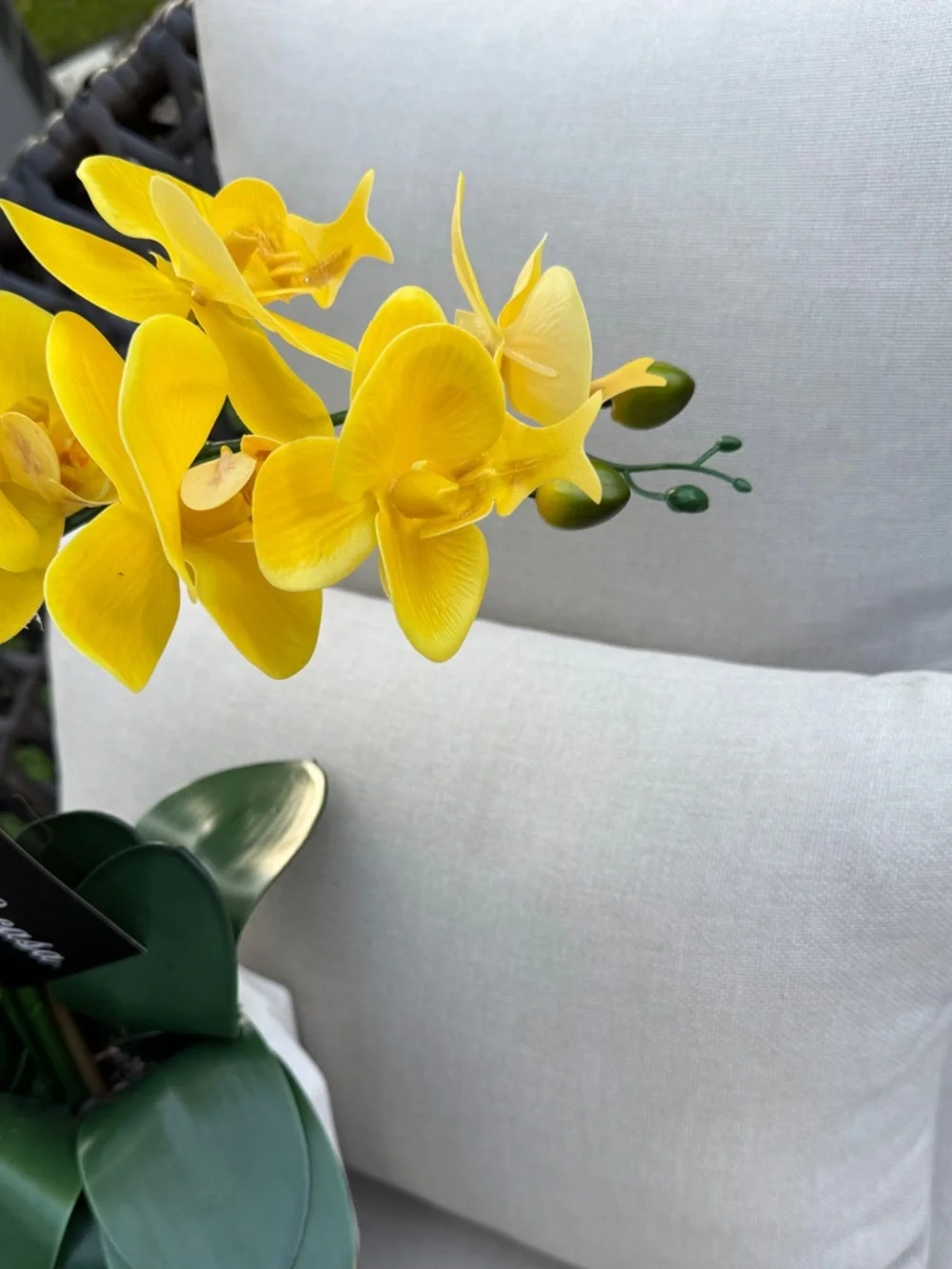 Yellow Faux Orchid in White Ceramic Vase - Home Accents